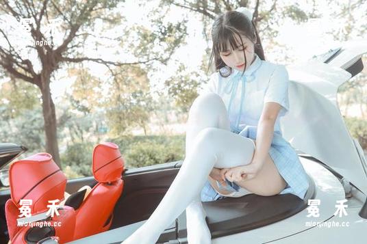 这不呆猫：在和服里的优雅乱舞，高清图册让你眼前一亮